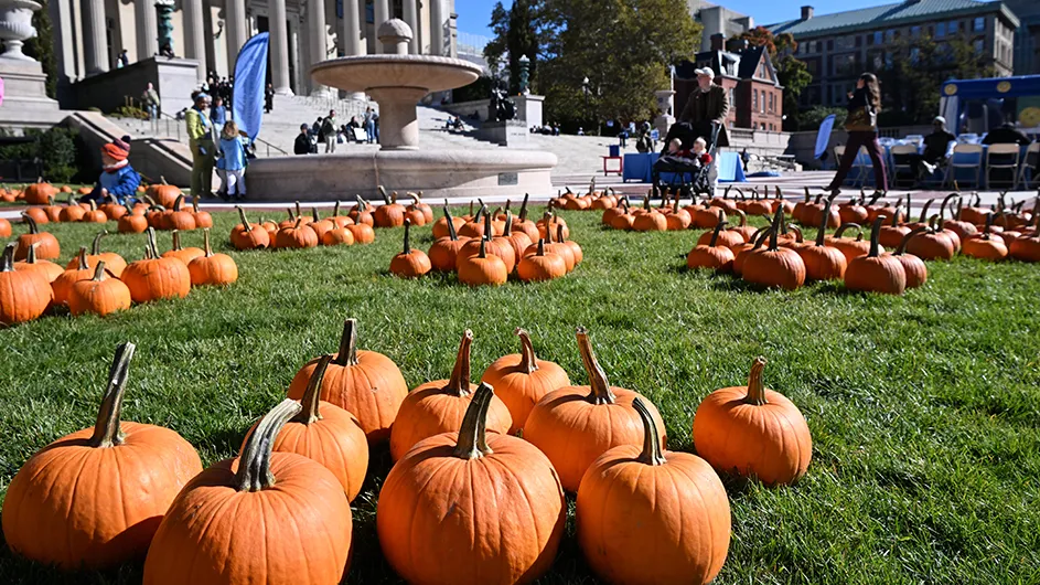 Dozens of orange pumpkins are displayed on the green lawn near Low Plaza with Low Library in the background, as people walk and young children play nearby for ROARfest festivities on a sunny day at Columbia University.