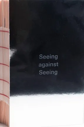 Seeing Against Seeing by Columbia University adjunct professor Alexey Yurenev