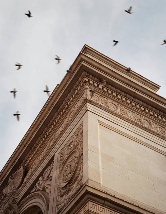 Birds fly over the Washington Square Park arch