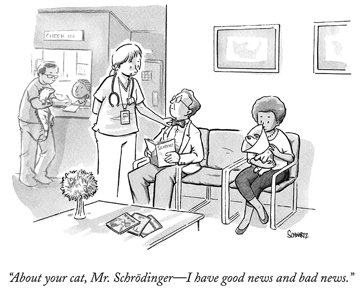 About your cat, Mr Schrodinger, I have good news and bad news