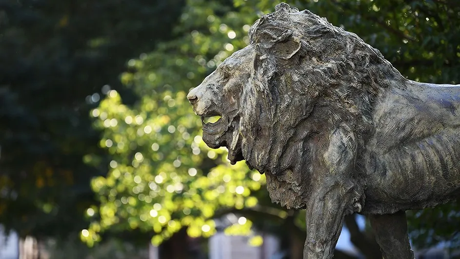 Scholars lion