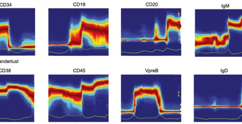 A new algorithm called Wanderlust uses single-cell measurements to detect how marker expression changes across development.