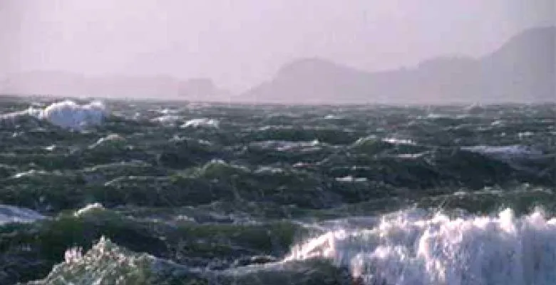 Waves on the sea surface