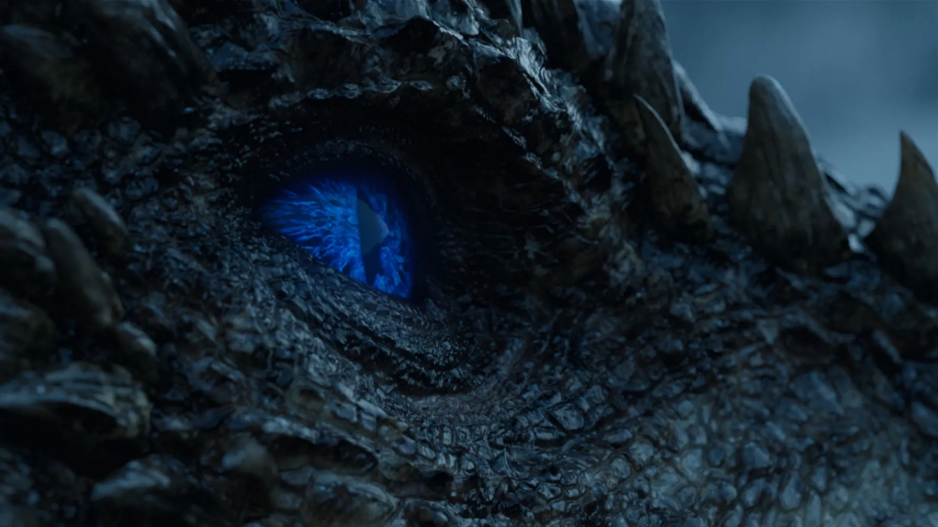 A close-up image of a dragon's scaly face and stark blue eye.