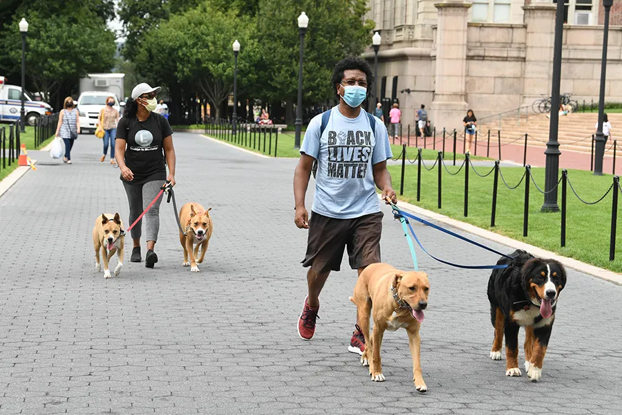Two people walking two dogs each, one wearing a Black Lives Matter t-shirt, cross Columbia's Morningside campus.