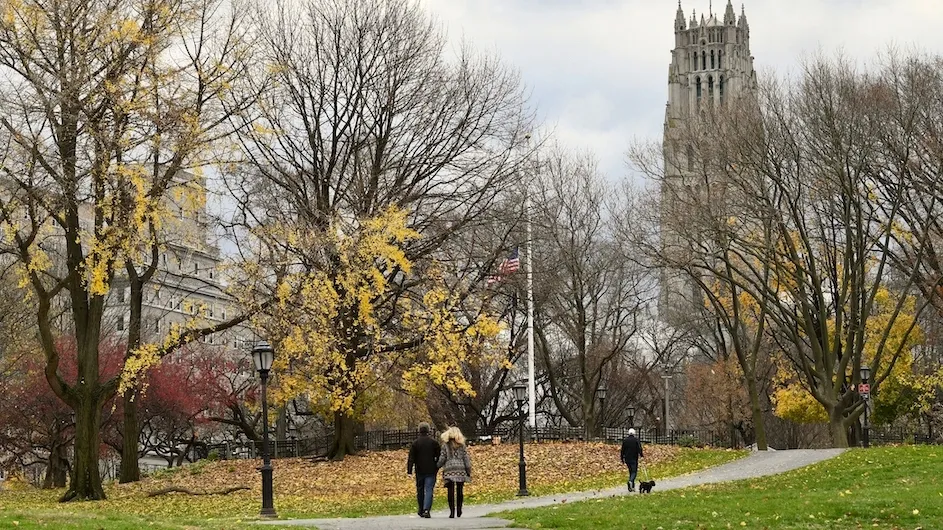A photo of trees in the fall-- some trees have completely lost their leaves, while others have a few yellow leaves on them. In the distance a few people are walking on a path.