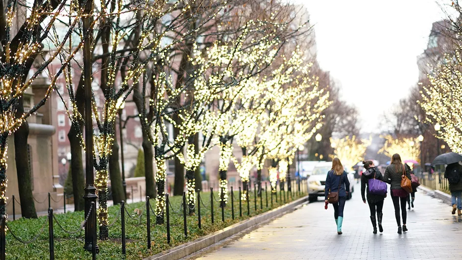Trees wrapped in holiday lights line the College Walk sidewalk as students in rain boots and umbrella walk down.