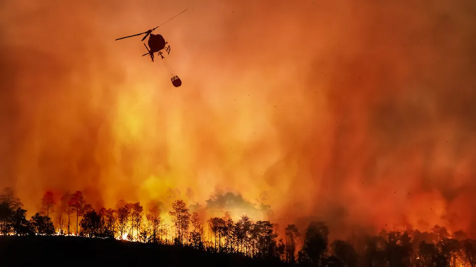 A photo of a helicopter dropping water on a raging forest fire