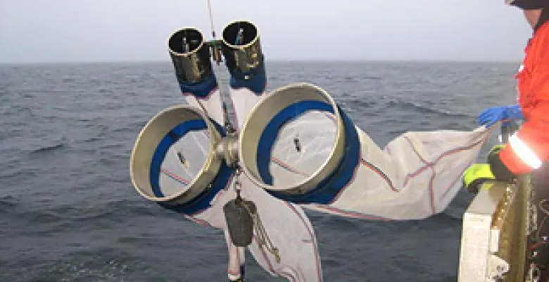 Nets over the ocean