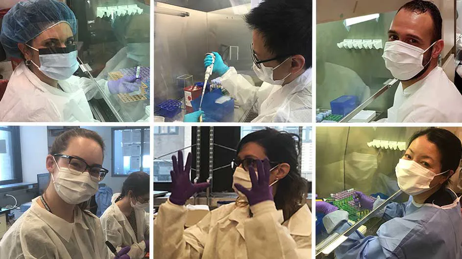 6 boxes featuring 6 lab workers in masks, four women and two men