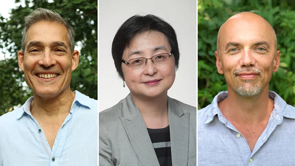 George A. Bonanno, Professor of Clinical Psychology; Yiping W. Han, Professor of Microbial Sciences in Dental Medicine and Microbiology & Immunology; and Kevin Ochsner, Professor of Psychology