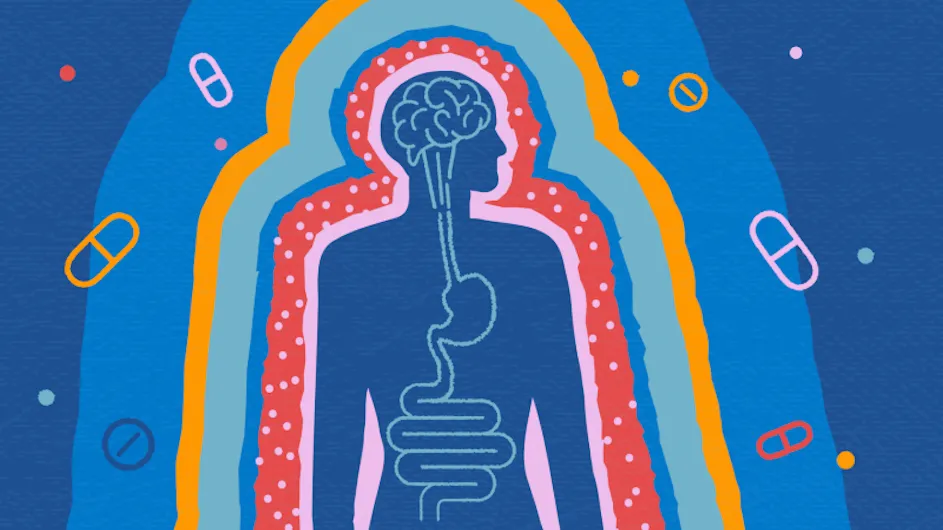 Illustration of a person showing their brain and gastrointestinal tract.