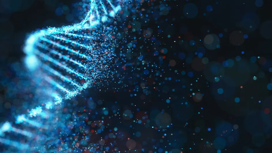 An artist's depiction of DNA.