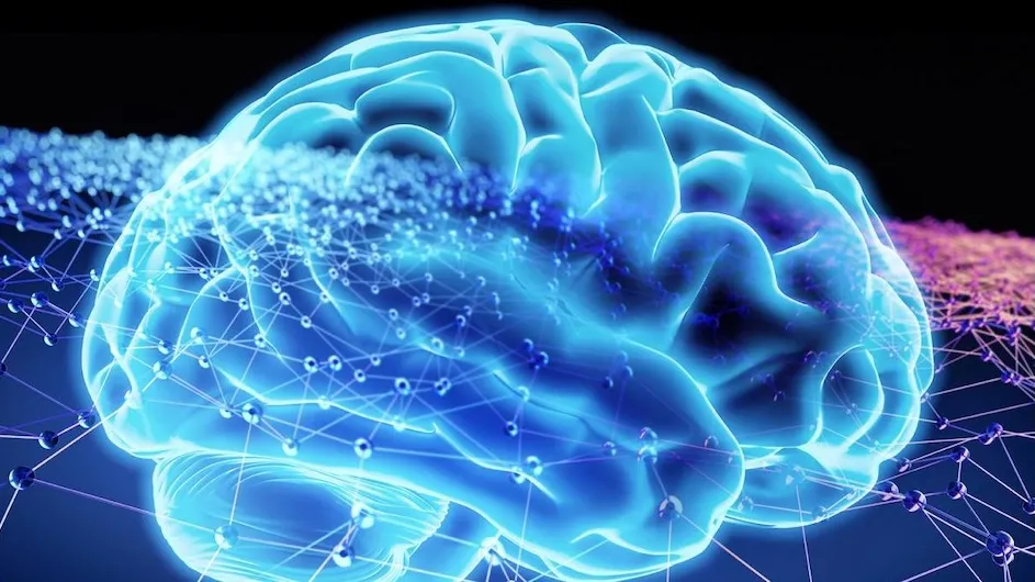 Illustration of a brain.