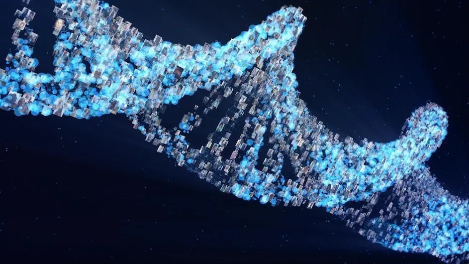 An illustration of a strand of DNA made up of human faces