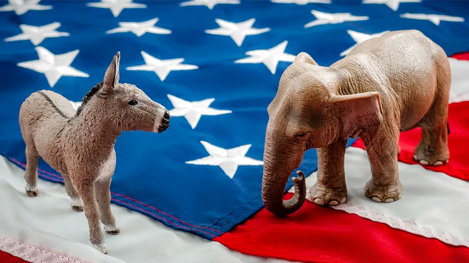 Donkey and Elephant