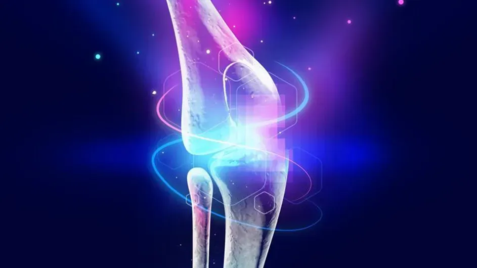 knee transplant