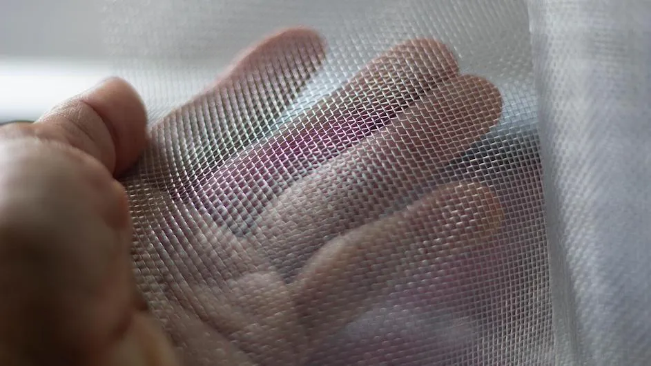 A hand behind a screen.