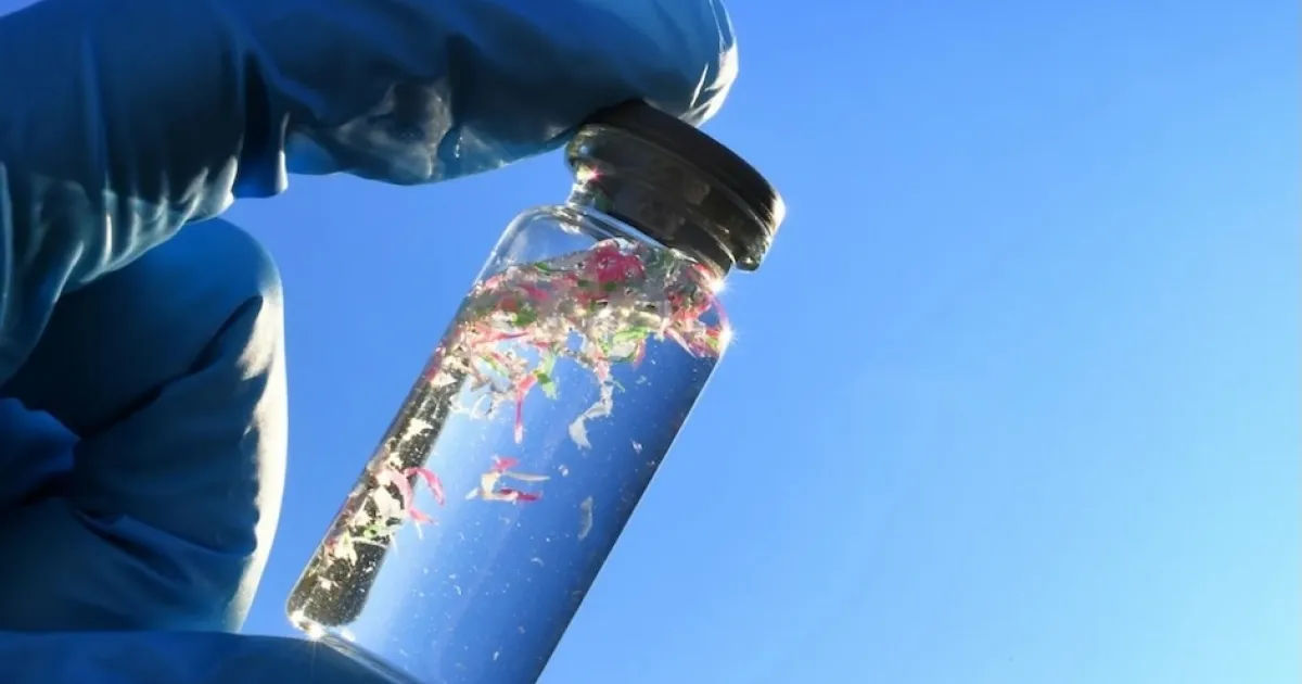 Microplastics Are Chemically Active, and Could Cause Biological Harm ...